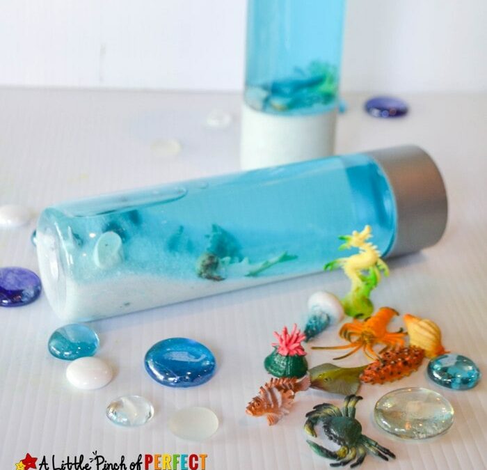 DIY Ocean Scene Super Satisfying Sensory Bottles